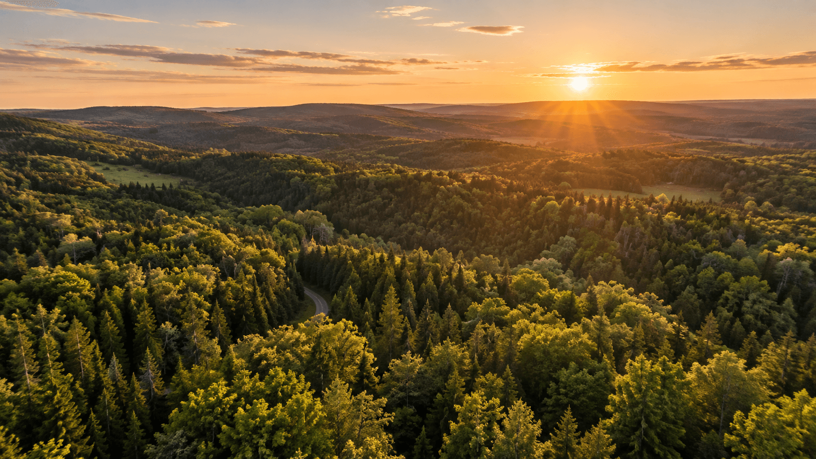 Aerial view of forested Ontario countryside